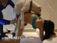 Sexy teen getting fucked by white dog's hard dick